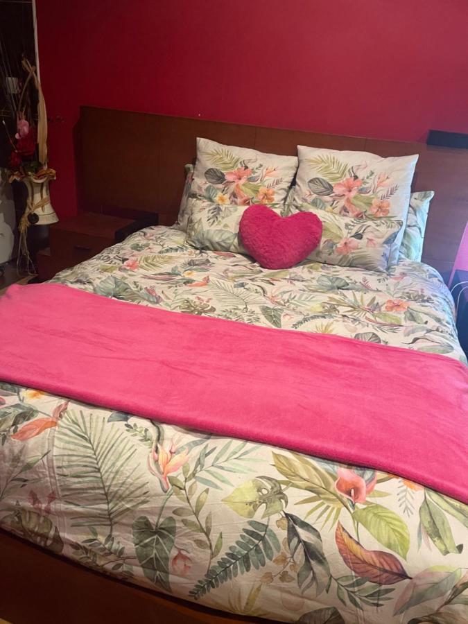 Guest house Corazon De